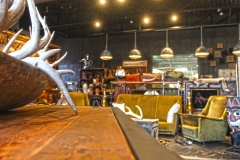 Antler sideview