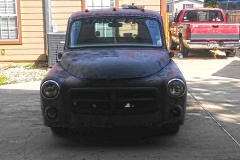 Georgia Rat 3