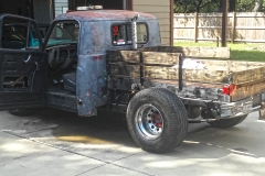 Georgia Rat 5