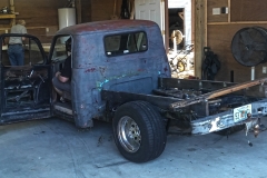 Georgia Rat 8