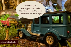 06-Woody