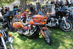 Project_20230624_0022