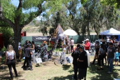 Project_20230707_0073