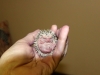 baby-hedgehog