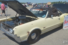 VMP_3354