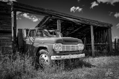 Crunched Ford BW