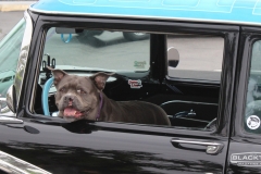 IMG_2687