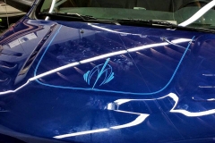 Ol-Skool-Ripleys-Pinstriping-4