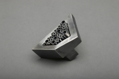 ring1