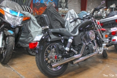 Harley Bikes